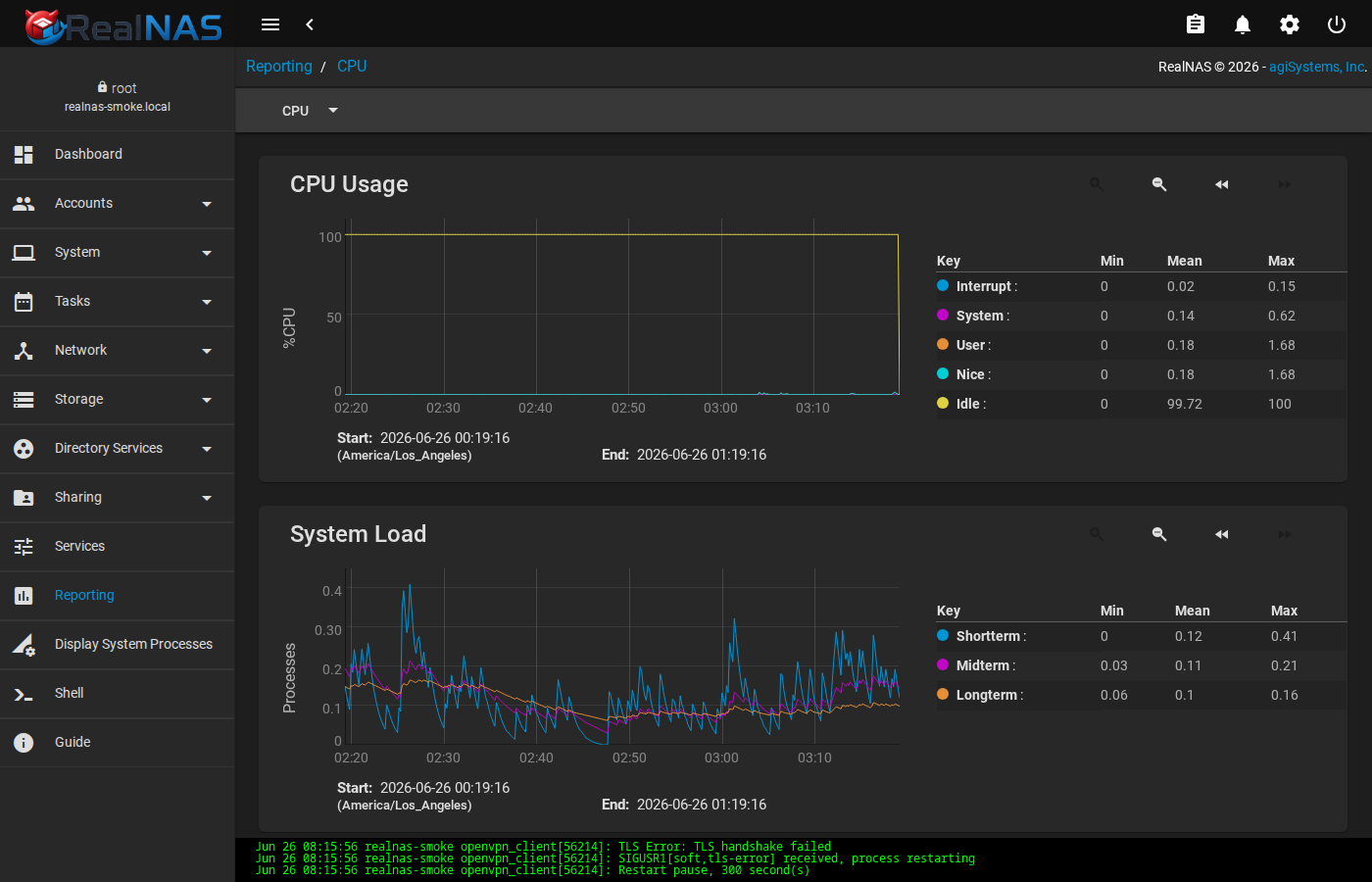 RealNAS Reports page showing reporting navigation and graph area